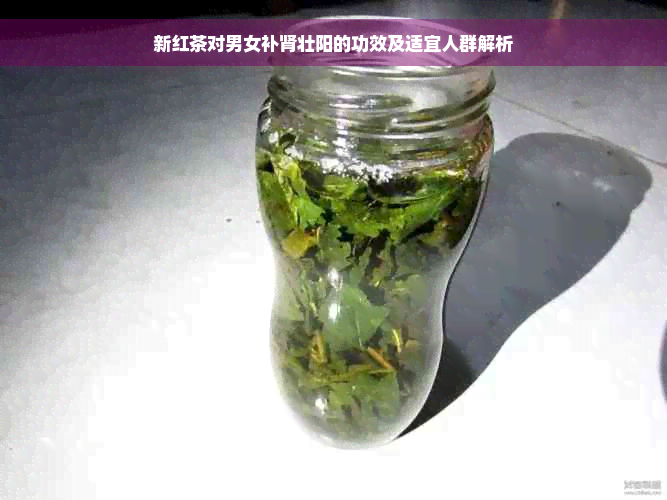 新红茶对男女补肾壮阳的功效及适宜人群解析