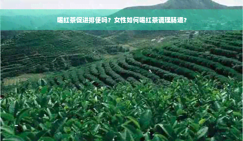 喝红茶促进排便吗？女性如何喝红茶调理肠道？