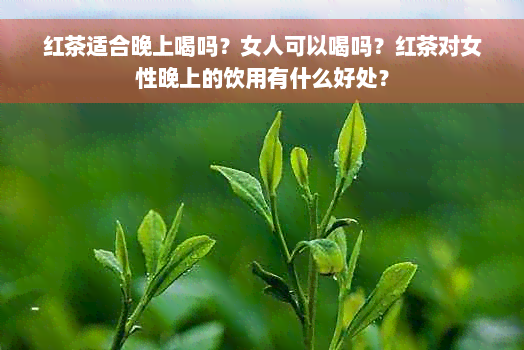 红茶适合晚上喝吗？女人可以喝吗？红茶对女性晚上的饮用有什么好处？