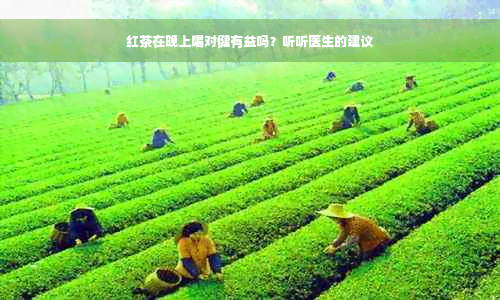 红茶在晚上喝对健有益吗？听听医生的建议