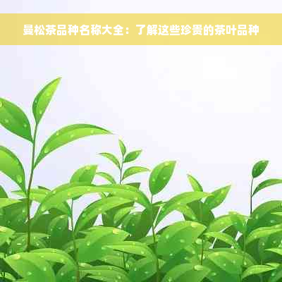 曼松茶品种名称大全：了解这些珍贵的茶叶品种