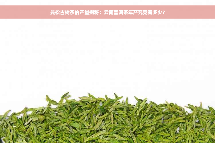 曼松古树茶的产量揭秘：云南普洱茶年产究竟有多少？