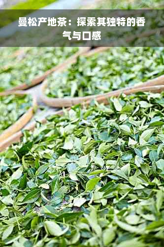 曼松产地茶：探索其独特的香气与口感