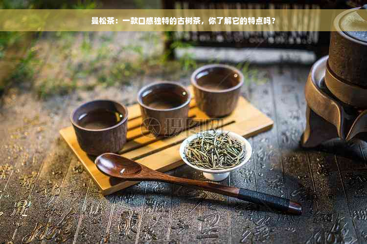 曼松茶：一款口感独特的古树茶，你了解它的特点吗？