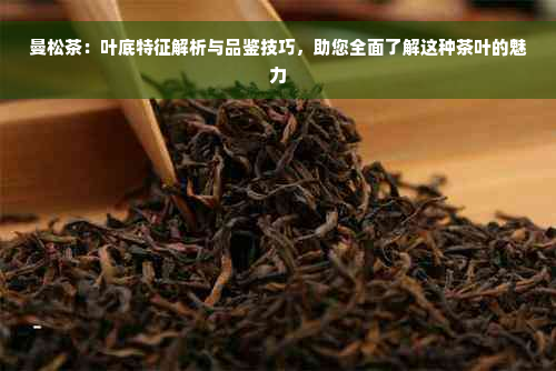 曼松茶：叶底特征解析与品鉴技巧，助您全面了解这种茶叶的魅力