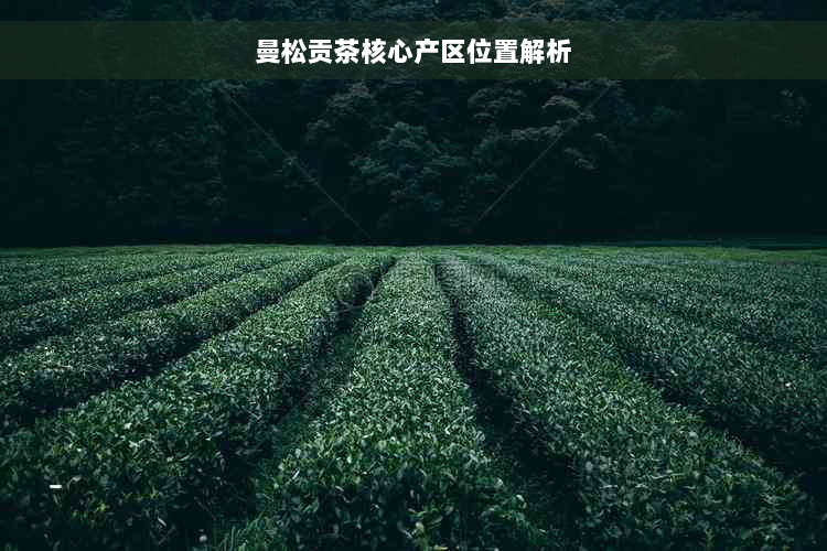 曼松贡茶核心产区位置解析
