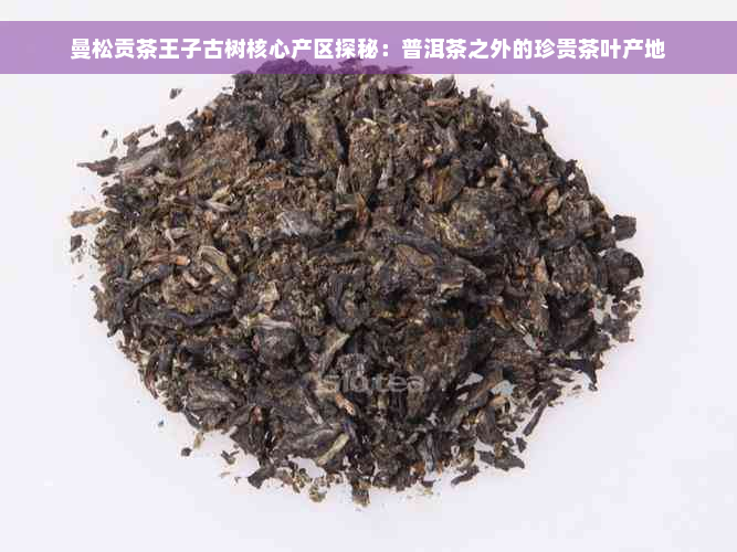 曼松贡茶王子古树核心产区探秘：普洱茶之外的珍贵茶叶产地