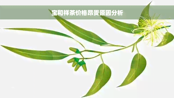 宝和祥茶价格昂贵原因分析