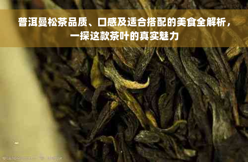 普洱曼松茶品质、口感及适合搭配的美食全解析，一探这款茶叶的真实魅力
