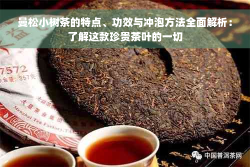 曼松小树茶的特点、功效与冲泡方法全面解析：了解这款珍贵茶叶的一切