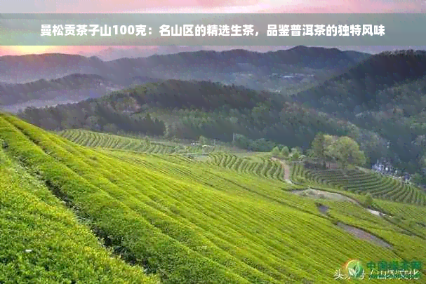 曼松贡茶子山100克：名山区的精选生茶，品鉴普洱茶的独特风味