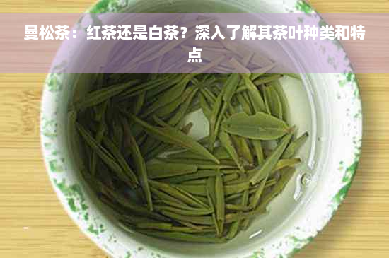 曼松茶：红茶还是白茶？深入了解其茶叶种类和特点