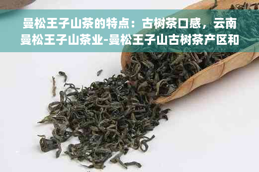 曼松王子山茶的特点：古树茶口感，云南曼松王子山茶业-曼松王子山古树茶产区和价格