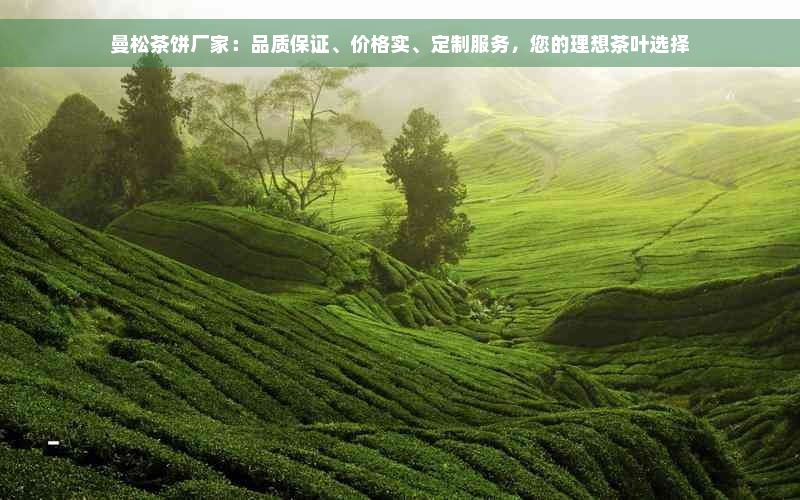 曼松茶饼厂家：品质保证、价格实、定制服务，您的理想茶叶选择