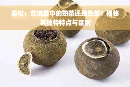 曼松：普洱茶中的熟茶还是生茶？揭秘其独特特点与区别