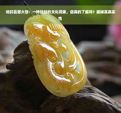 哈轩翡翠大饼：一种独特的文化现象，你真的了解吗？揭秘其真实性