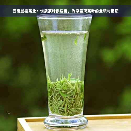 云南曼松茶业：优质茶叶供应商，为您呈现茶叶的全貌与品质