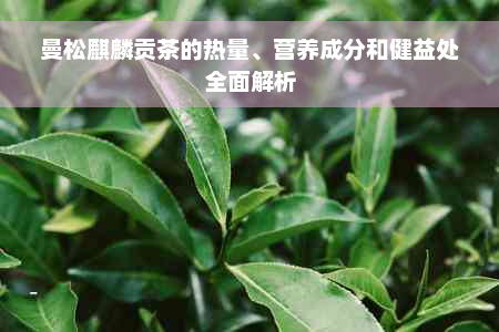 曼松麒麟贡茶的热量、营养成分和健益处全面解析