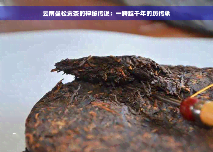 云南曼松贡茶的神秘传说：一跨越千年的历传承