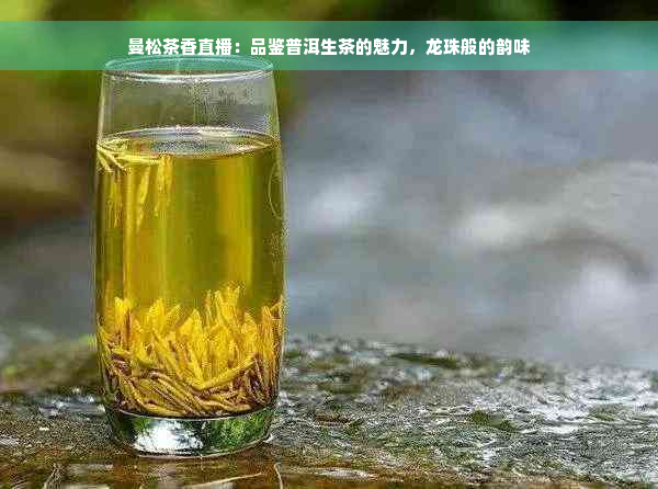 曼松茶香直播：品鉴普洱生茶的魅力，龙珠般的韵味