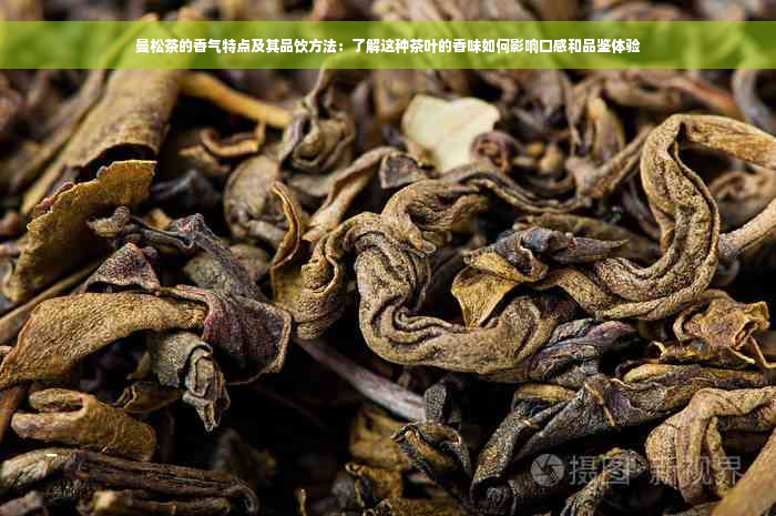 曼松茶的香气特点及其品饮方法：了解这种茶叶的香味如何影响口感和品鉴体验