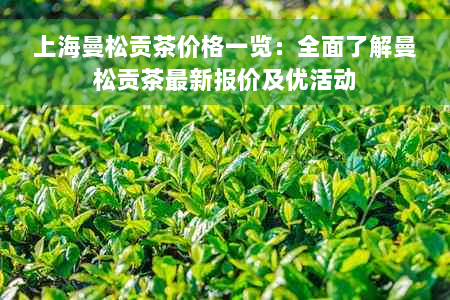上海曼松贡茶价格一览：全面了解曼松贡茶最新报价及优活动