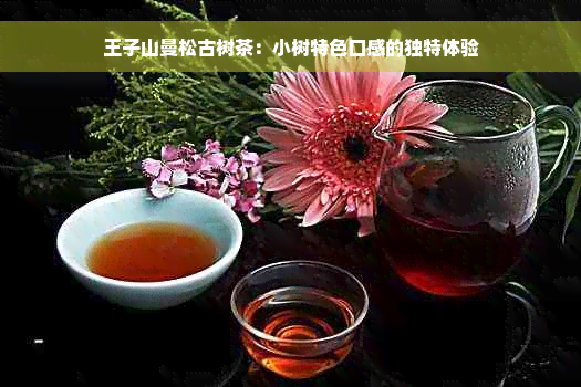 王子山曼松古树茶：小树特色口感的独特体验