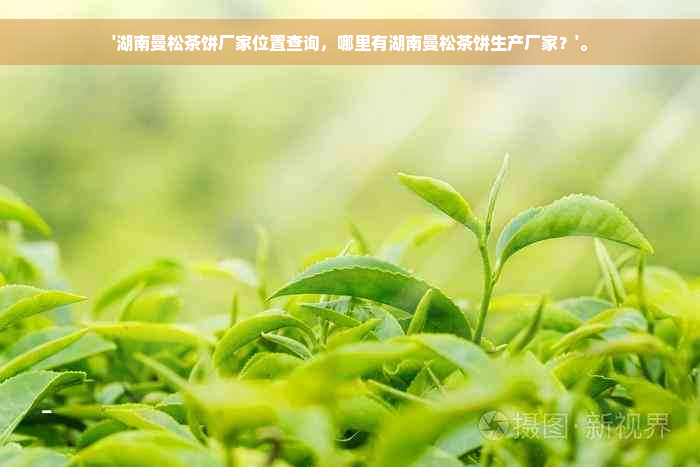 '湖南曼松茶饼厂家位置查询，哪里有湖南曼松茶饼生产厂家？'。