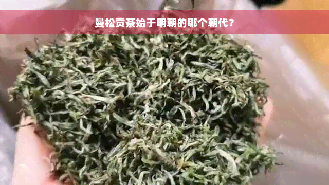 曼松贡茶始于明朝的哪个朝代？