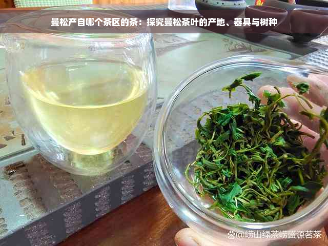 曼松产自哪个茶区的茶：探究曼松茶叶的产地、器具与树种