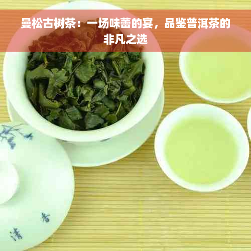曼松古树茶：一场味蕾的宴，品鉴普洱茶的非凡之选