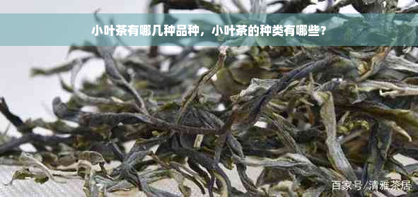 小叶茶有哪几种品种，小叶茶的种类有哪些？