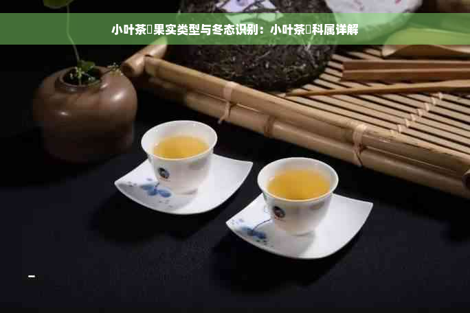 小叶茶藨果实类型与冬态识别：小叶茶藨科属详解