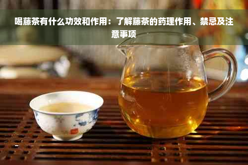 喝藤茶有什么功效和作用：了解藤茶的药理作用、禁忌及注意事项