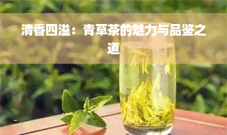 清香四溢：青草茶的魅力与品鉴之道