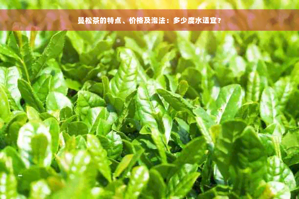 曼松茶的特点、价格及泡法：多少度水适宜？