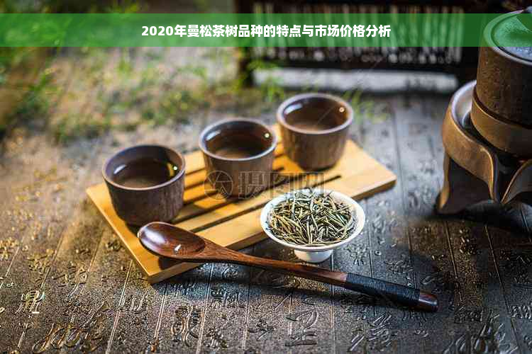2020年曼松茶树品种的特点与市场价格分析