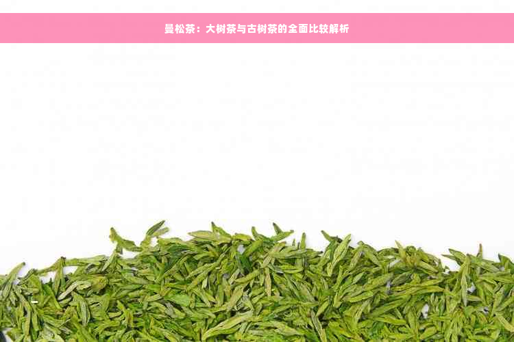 曼松茶：大树茶与古树茶的全面比较解析