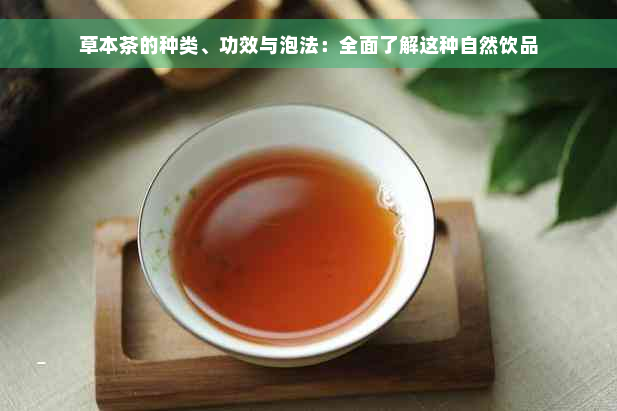 草本茶的种类、功效与泡法：全面了解这种自然饮品