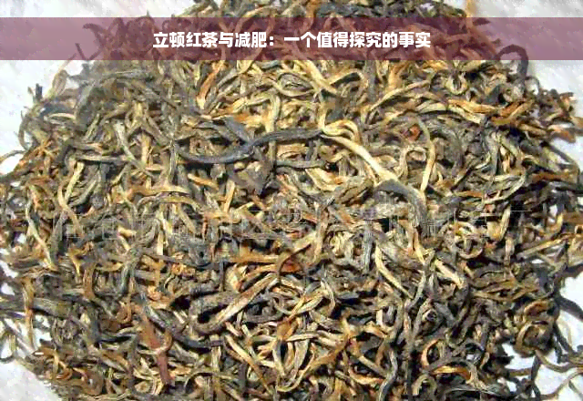 立顿红茶与减肥：一个值得探究的事实