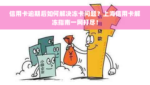 信用卡逾期后如何解决冻卡问题？上海信用卡解冻指南一网打尽！