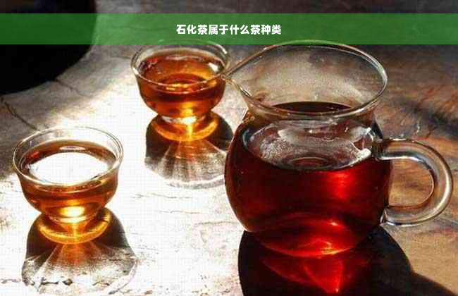石化茶属于什么茶种类