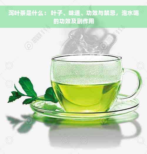 泻叶茶是什么： 叶子、味道、功效与禁忌，泡水喝的功效及副作用