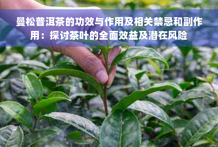 曼松普洱茶的功效与作用及相关禁忌和副作用：探讨茶叶的全面效益及潜在风险