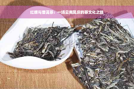 红螺与普洱茶：一场云南凤庆的茶文化之旅