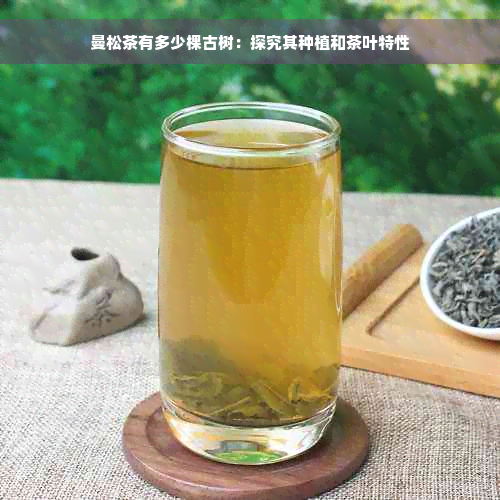 曼松茶有多少棵古树：探究其种植和茶叶特性