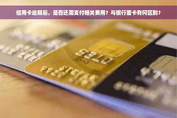 信用卡逾期后，是否还需支付相关费用？与银行蓄卡有何区别？