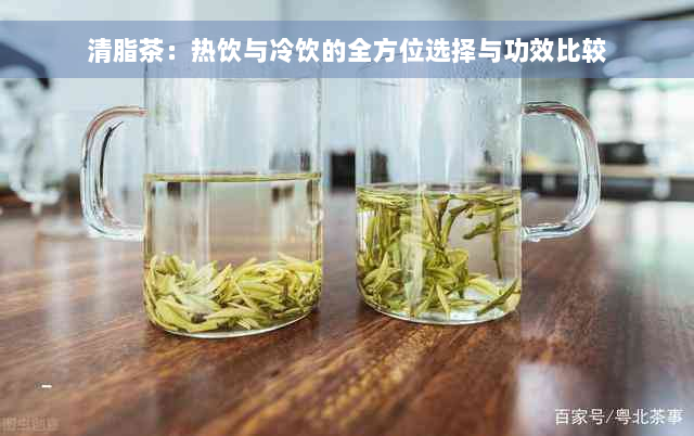 清脂茶：热饮与冷饮的全方位选择与功效比较