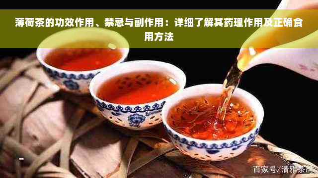 薄荷茶的功效作用、禁忌与副作用：详细了解其药理作用及正确食用方法