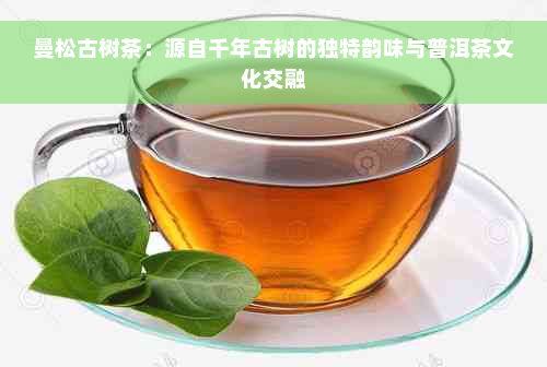 曼松古树茶：源自千年古树的独特韵味与普洱茶文化交融